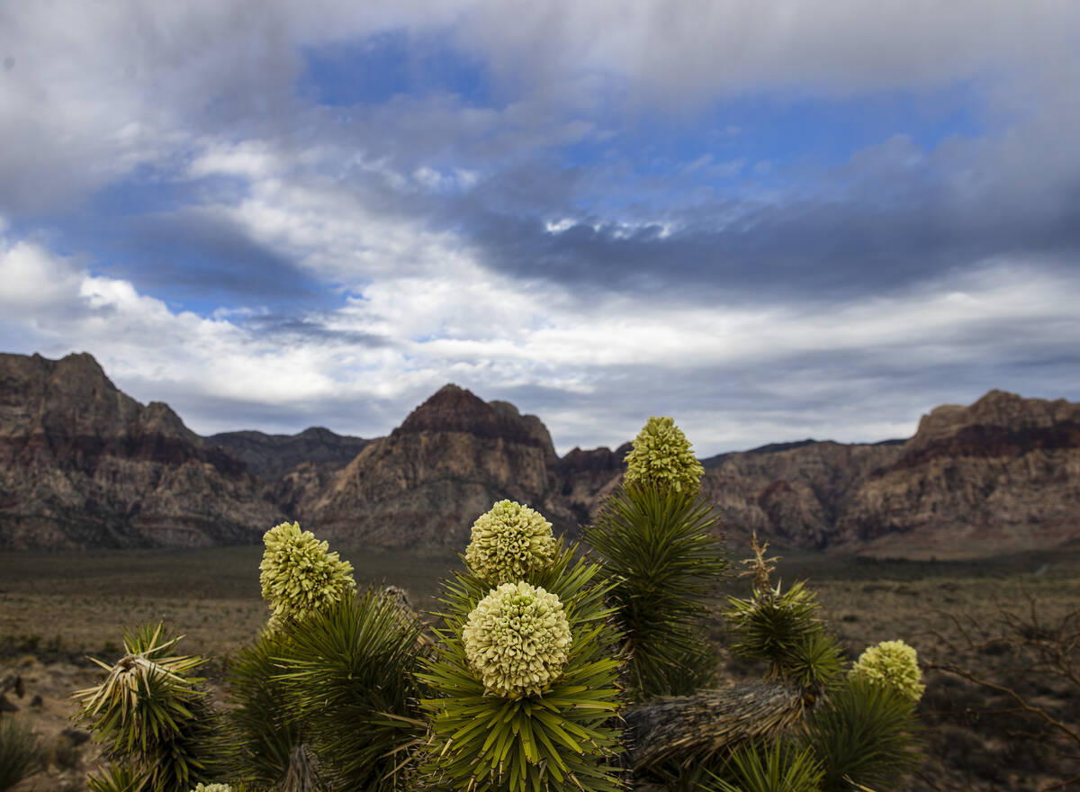 Clouds linger over Red Rock overlook on Monday, March 28, 2022, in Las Vegas. A mostly sunny an ...