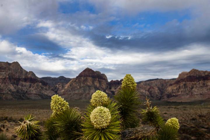 Clouds linger over Red Rock overlook on Monday, March 28, 2022, in Las Vegas. A mostly cloudy s ...