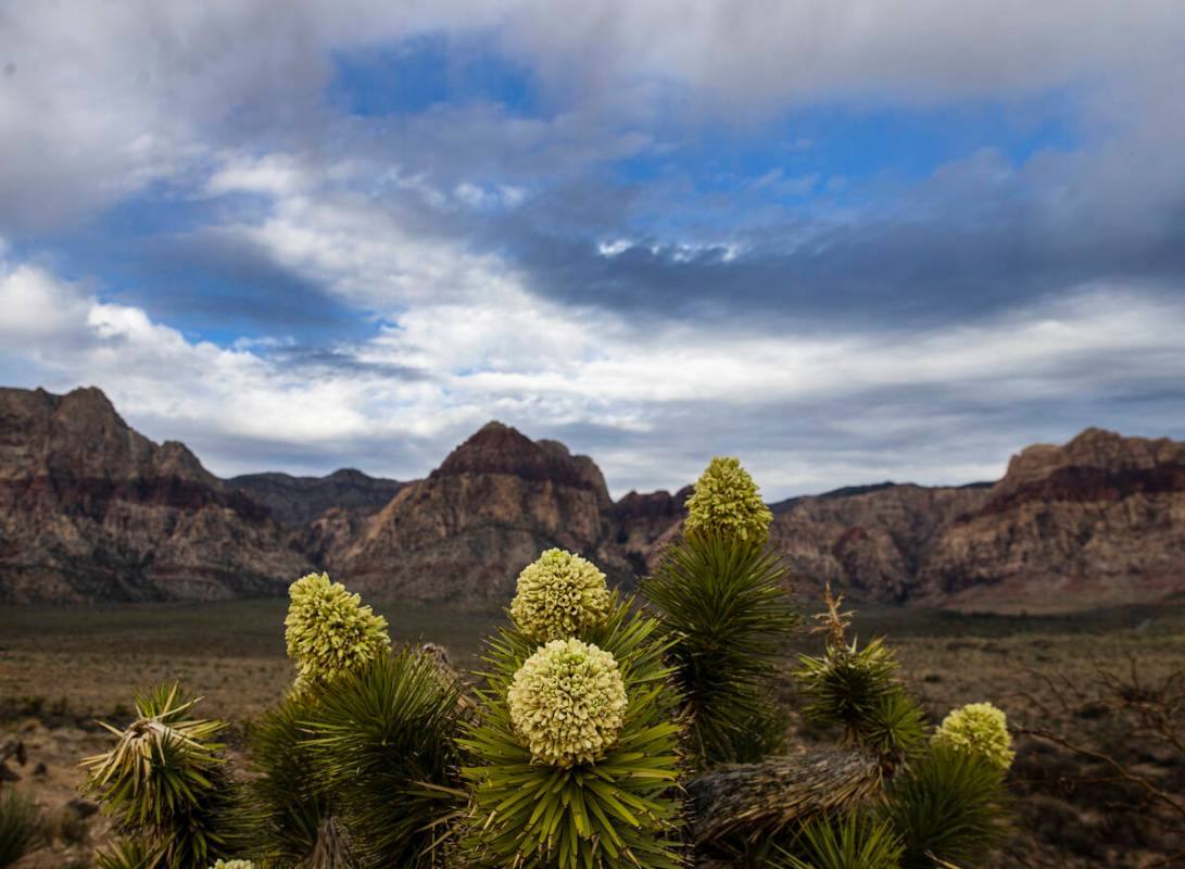 Clouds linger over Red Rock overlook on Monday, March 28, 2022, in Las Vegas. A mostly cloudy s ...