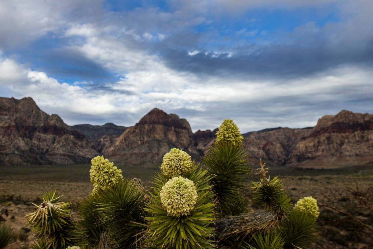 Clouds linger over Red Rock overlook on Monday, March 28, 2022, in Las Vegas. A mostly sunny an ...