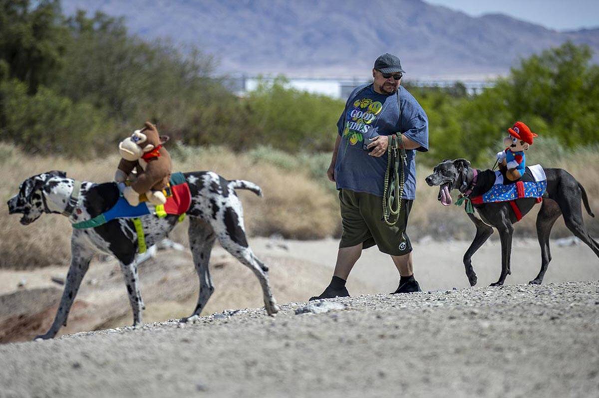 Joe Angeloni walks with his two dogs Stinky, left, and Babygirl, right, as they enjoy the nice ...