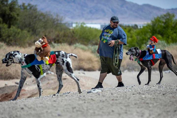 Joe Angeloni walks with his two dogs Stinky, left, and Babygirl, right, as they enjoy the nice ...