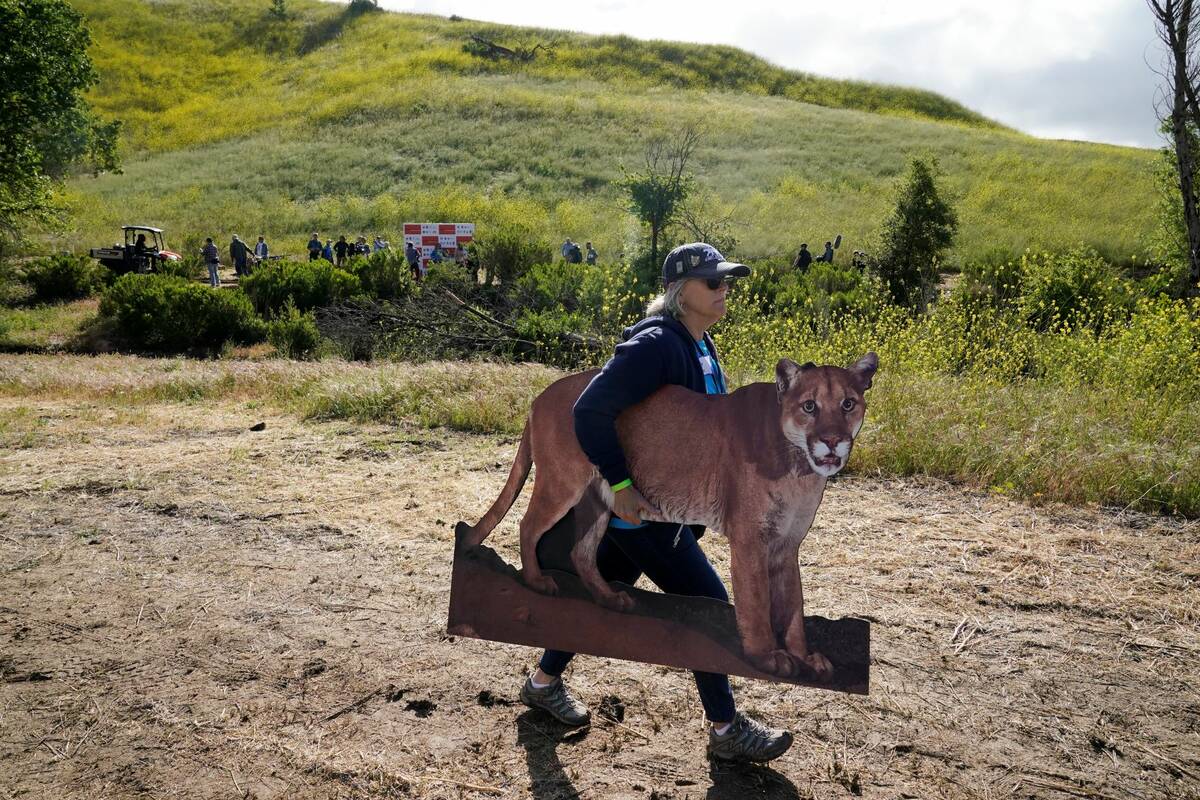 Amy Silver, a volunteer with the National Wildlife Federation, carries a cardboard cutout of a ...