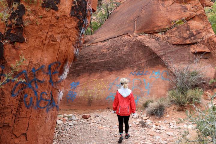 Heather Fisher, president of Save Red Rock, checks out new graffiti spray painted on rocks in t ...