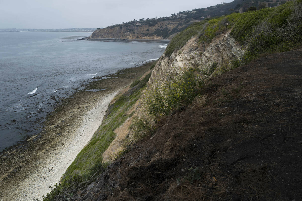 Small waves crash into the beach surrounded by cliffs in Palos Verdes Estates, Calif., Monday, ...