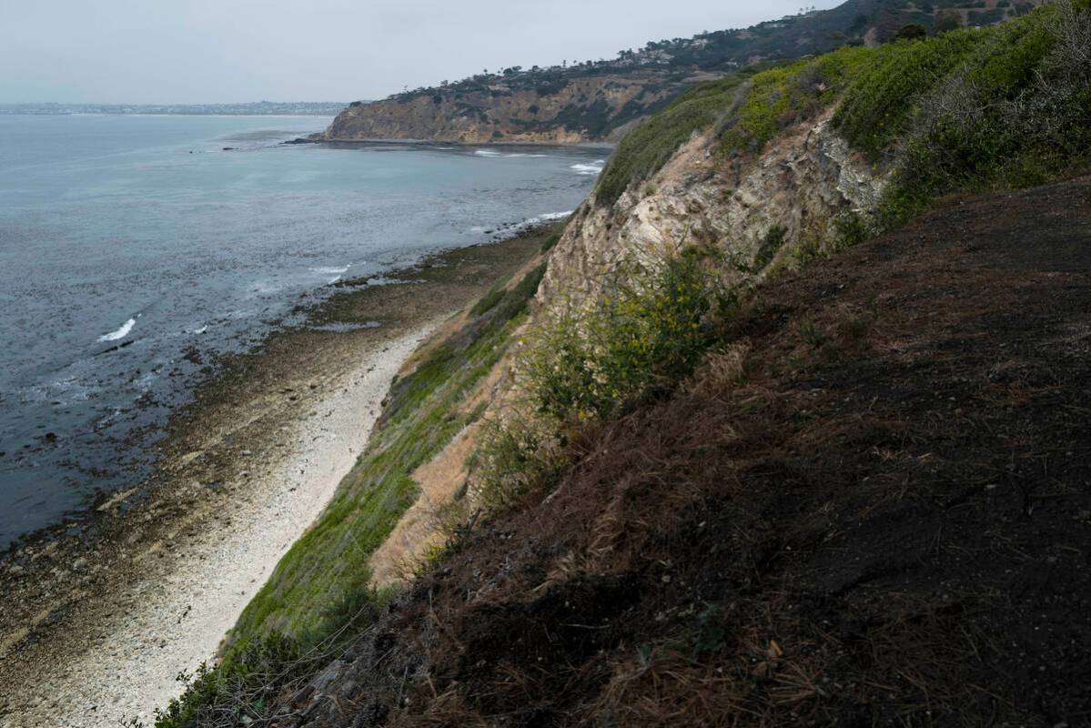 Small waves crash into the beach surrounded by cliffs in Palos Verdes Estates, Calif., Monday, ...