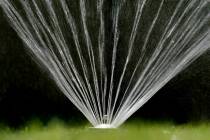 FILE - Water flies from a sprinkler on a lawn in Sacramento, Calif., on July 8, 2021. The State ...