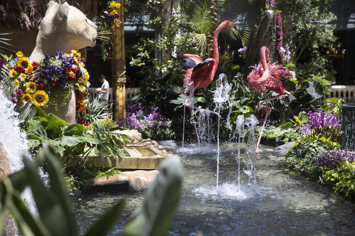 Bellagio’s Conservatory & Botanical Gardens new display “Jungle of Dreams” in Las Vegas, ...