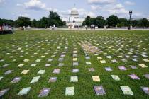 Laid out near the U.S. Capitol are 2,280 schoolbooks and broken pencils that represent the 2,28 ...