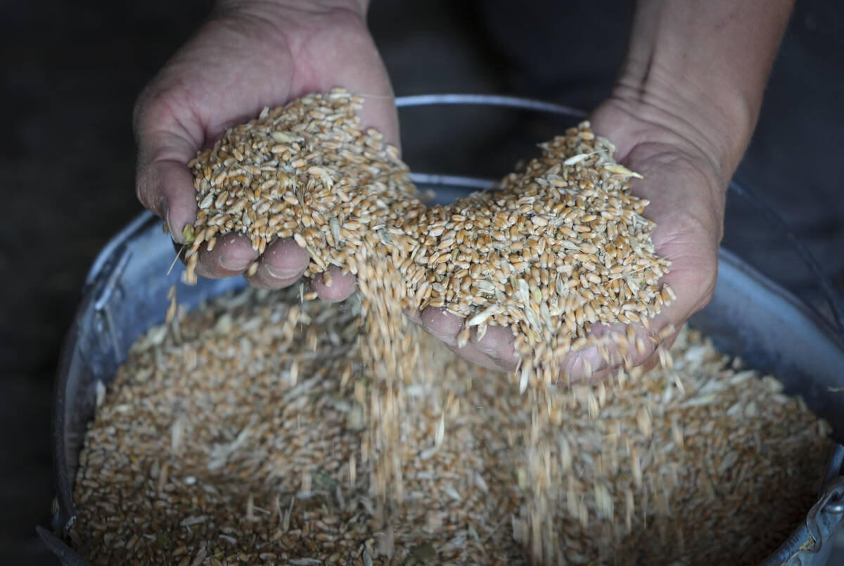 Farmer Serhiy shows his grains in his barn in the village of Ptyche in eastern Donetsk region, ...