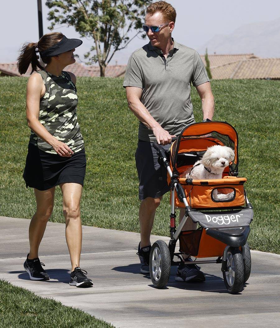 Leann Vaughan of Summerlin and her husband Andrew walk with their dog Chance at Fox Hill Park ...