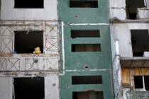 A teddy bear is seen on a building destroyed by attacks in Chernihiv, Ukraine, Sunday, June 19, ...