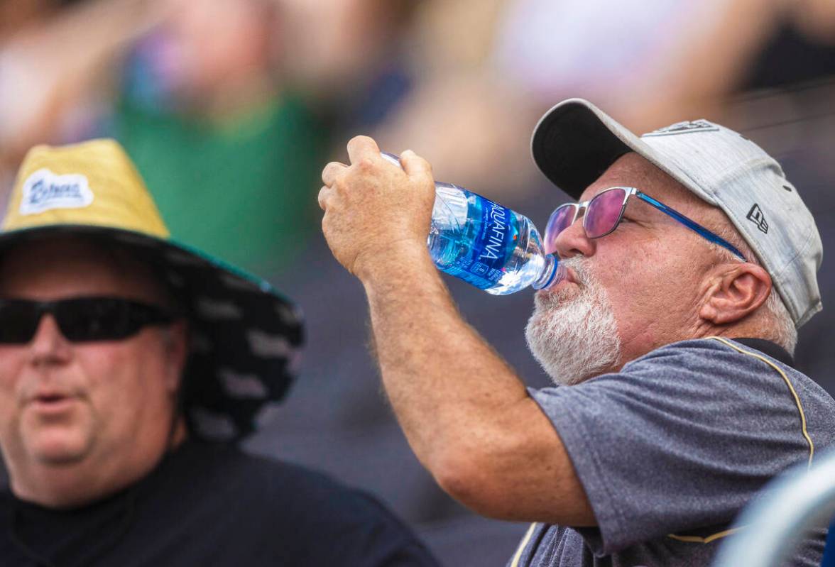 Fans try and stay cool during a minor league baseball game between the Aviators and the Salt La ...