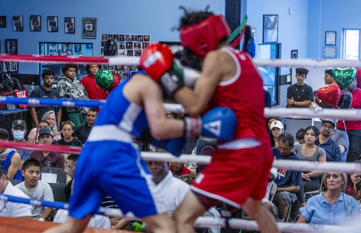 Attendees enjoy watching the fight action during the 2nd Annual Juneteenth Classic! boxing exhi ...