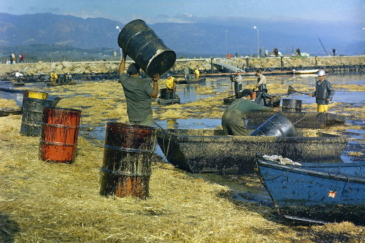 In this Feb. 7, 1969 file photo, workers collect oil-soaked straw from the beach at Santa Barba ...
