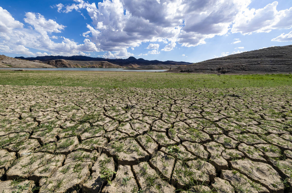 The dried earth cracks on the shoreline as water levels continue to drop at the Lake Mead Natio ...