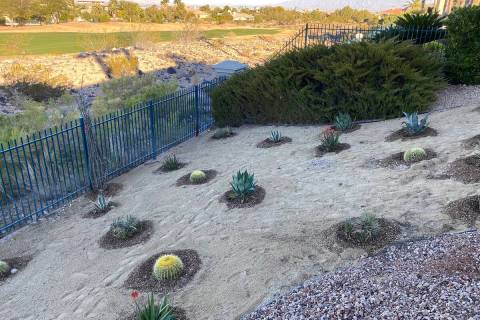 With some knowledge and clever design skills, you can use drought-tolerant plants to create an ...