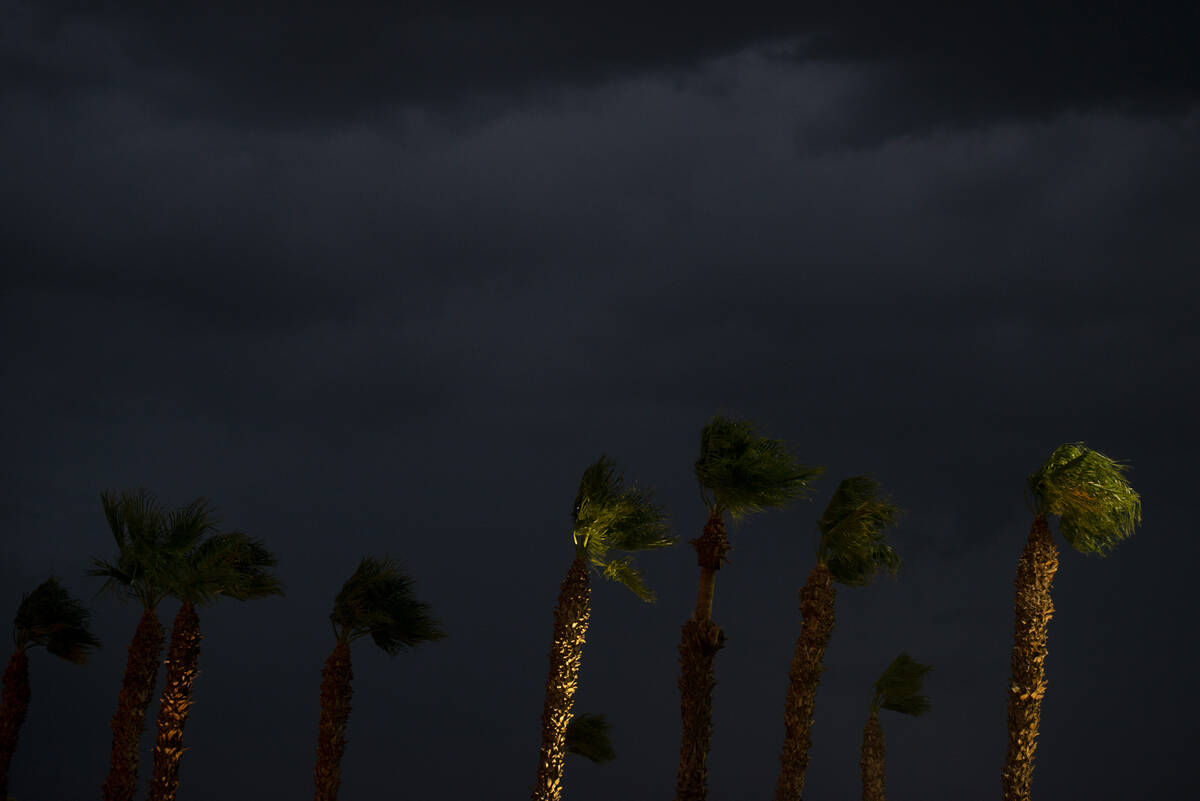 High winds blow palm trees on Boulder Highway in Las Vegas on Wednesday, July 27, 2022. (Steel ...