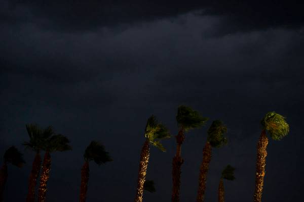 High winds blow palm trees on Boulder Highway in Las Vegas on Wednesday, July 27, 2022. (Steel ...