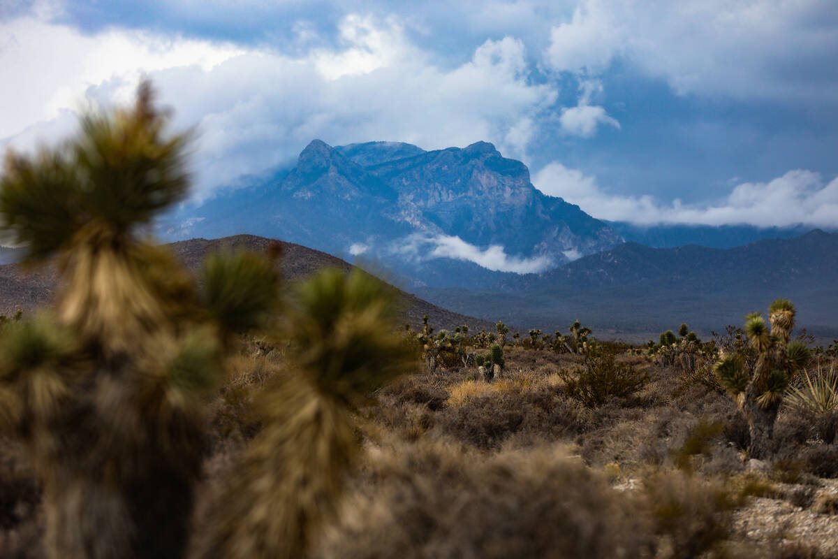 Monsoonal clouds above Mt. Charleston, seen from Cold Creek Road in Clark County, Nev., Sunday, ...