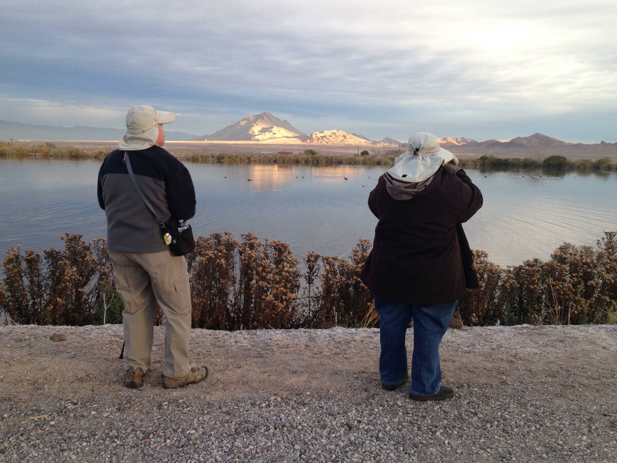 Ted and Paula Lupina catalog different kinds of waterfowl during the Audubon Society's Christma ...