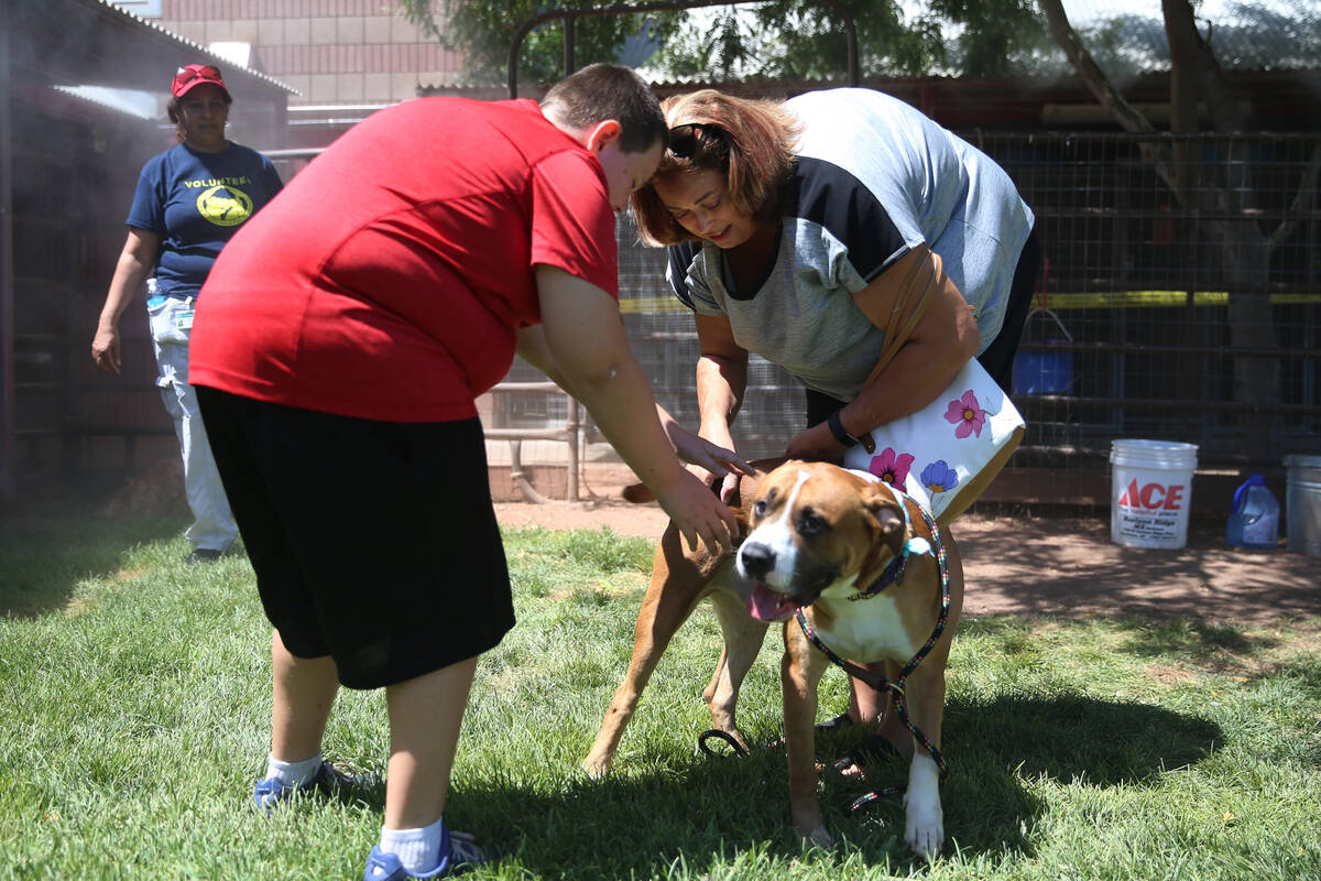 Aiden Fox, 11, left, and his mother Kara, of Henderson, play with a dog for adoption during the ...