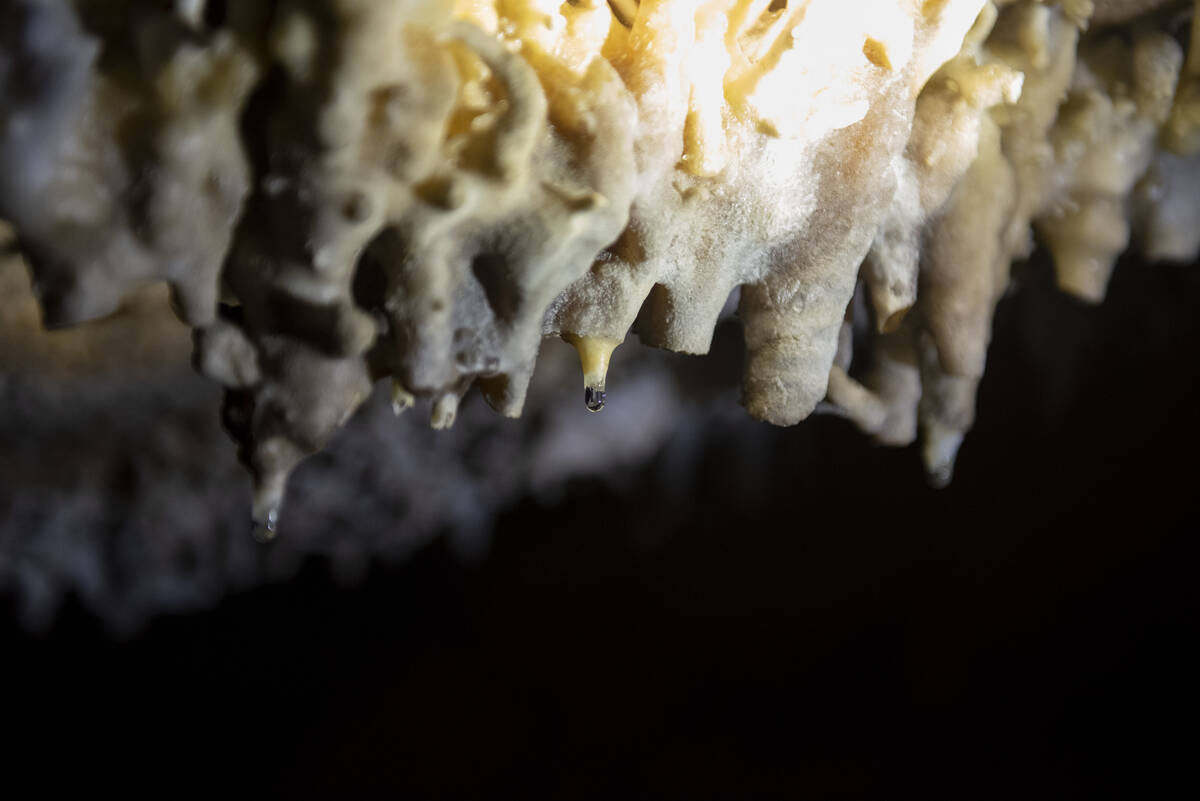 Water droplets form on the end of new limestone formations in Lehman Caves on Monday, Aug. 1, 2 ...