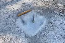 A track from a dinosaur in the Theropod class was recently uncovered in Dinosaur Valley State P ...