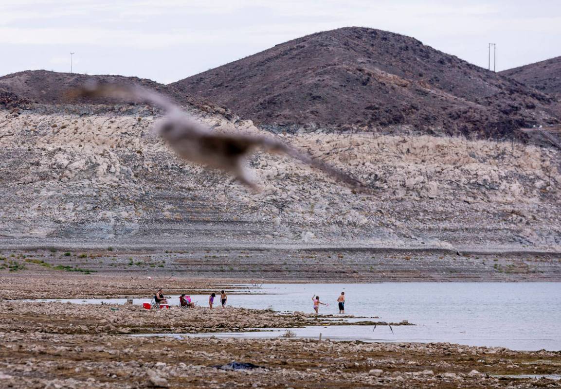 Lake Mead's summer rise has exceeded 3 feet during the past month, reaching 1,043.86 feet above ...