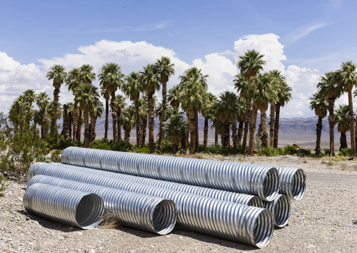 Water pipes and palm trees are seen at a proposed Coyote Springs development near Coyote Spring ...