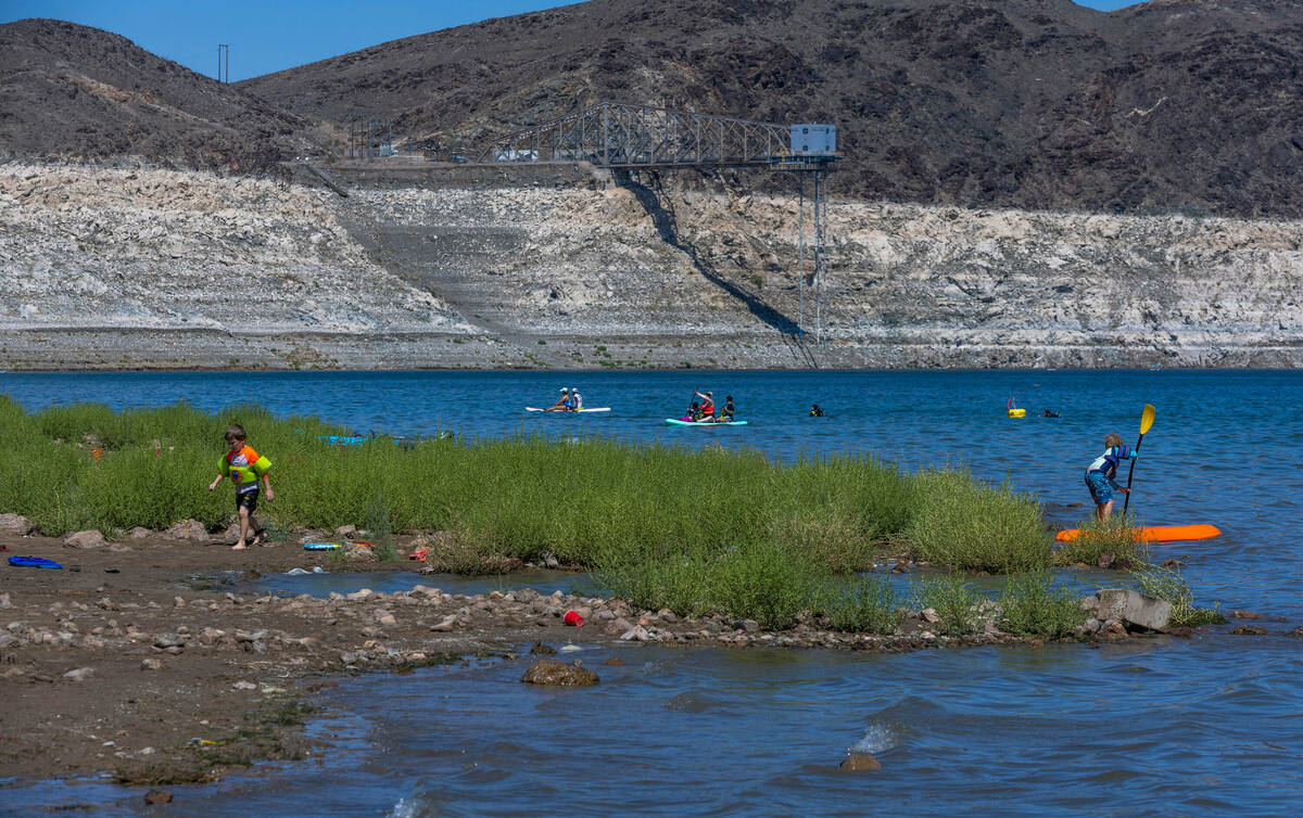 Greenery now extends to the waterline as visitors enjoy Boulder Beach on Labor Day within the L ...