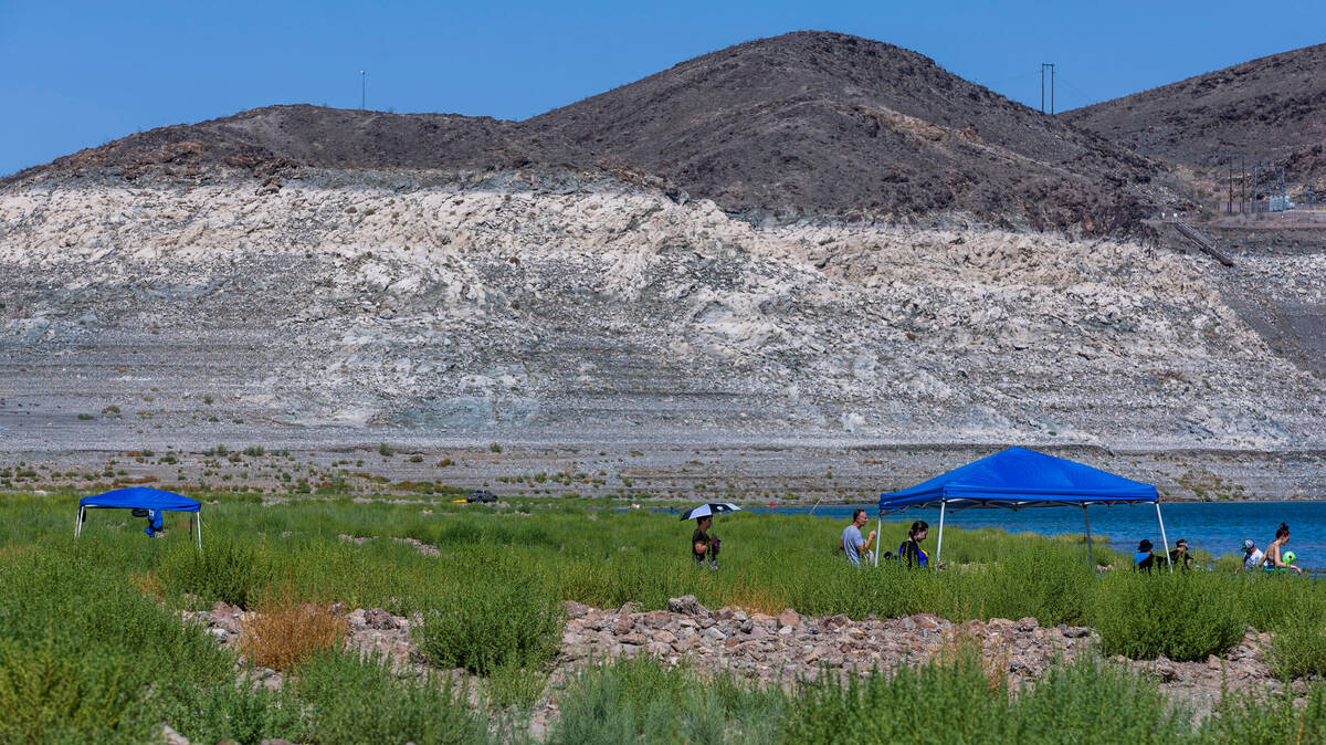 Greenery now extends to the waterline as visitors enjoy Boulder Beach on Labor Day within the L ...