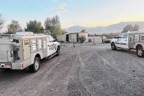 Some 300 dogs have been seized from a Nye County property during an animal cruelty investigatio ...