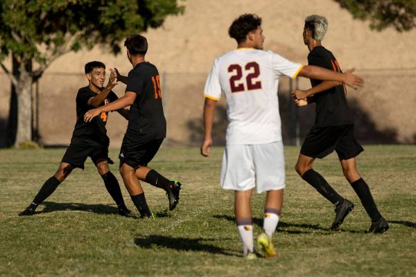 Chaparral's Adrian Ocampo (24) and Irvin Aguirre (19) celebrate a goal against Eldorado at Chap ...