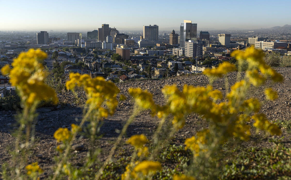 The morning light begins to illuminate the Downtown area viewed from East Ridge Road on Friday, ...