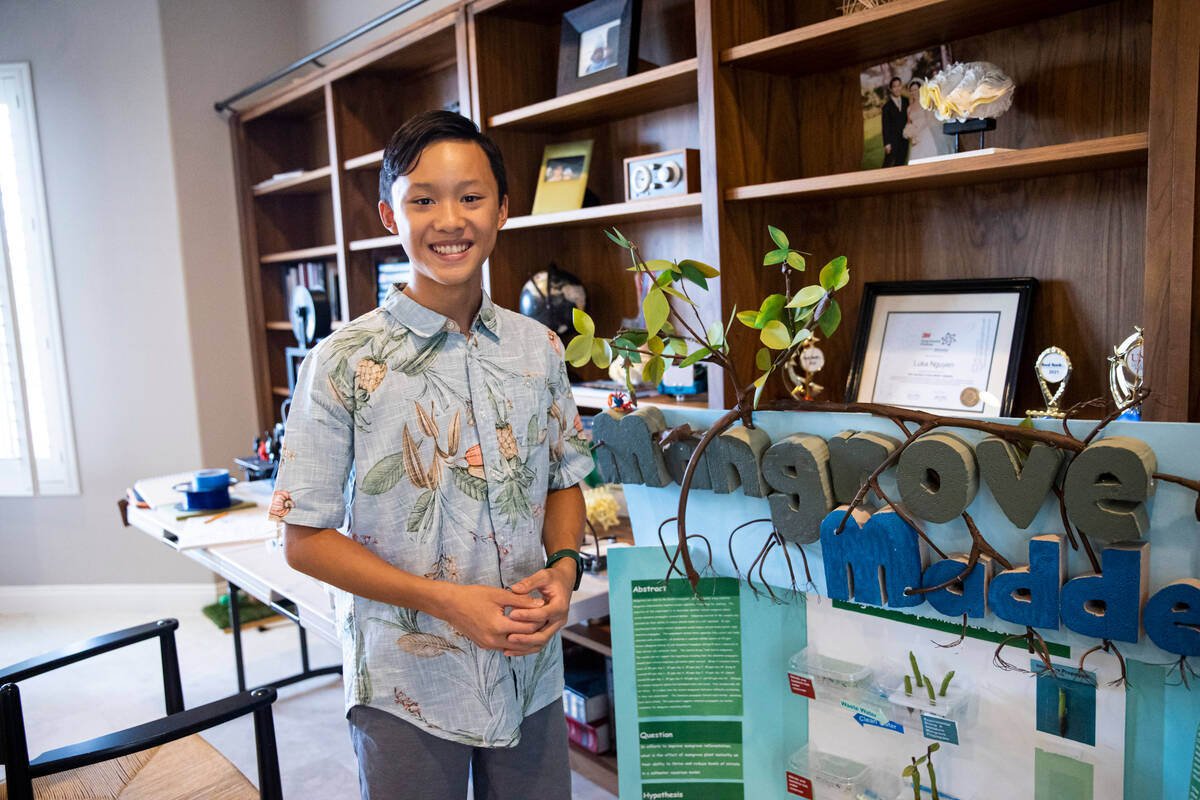 Luka Nguyen, 13, poses for a portrait near part of his mangrove tree carbon sequestration proje ...