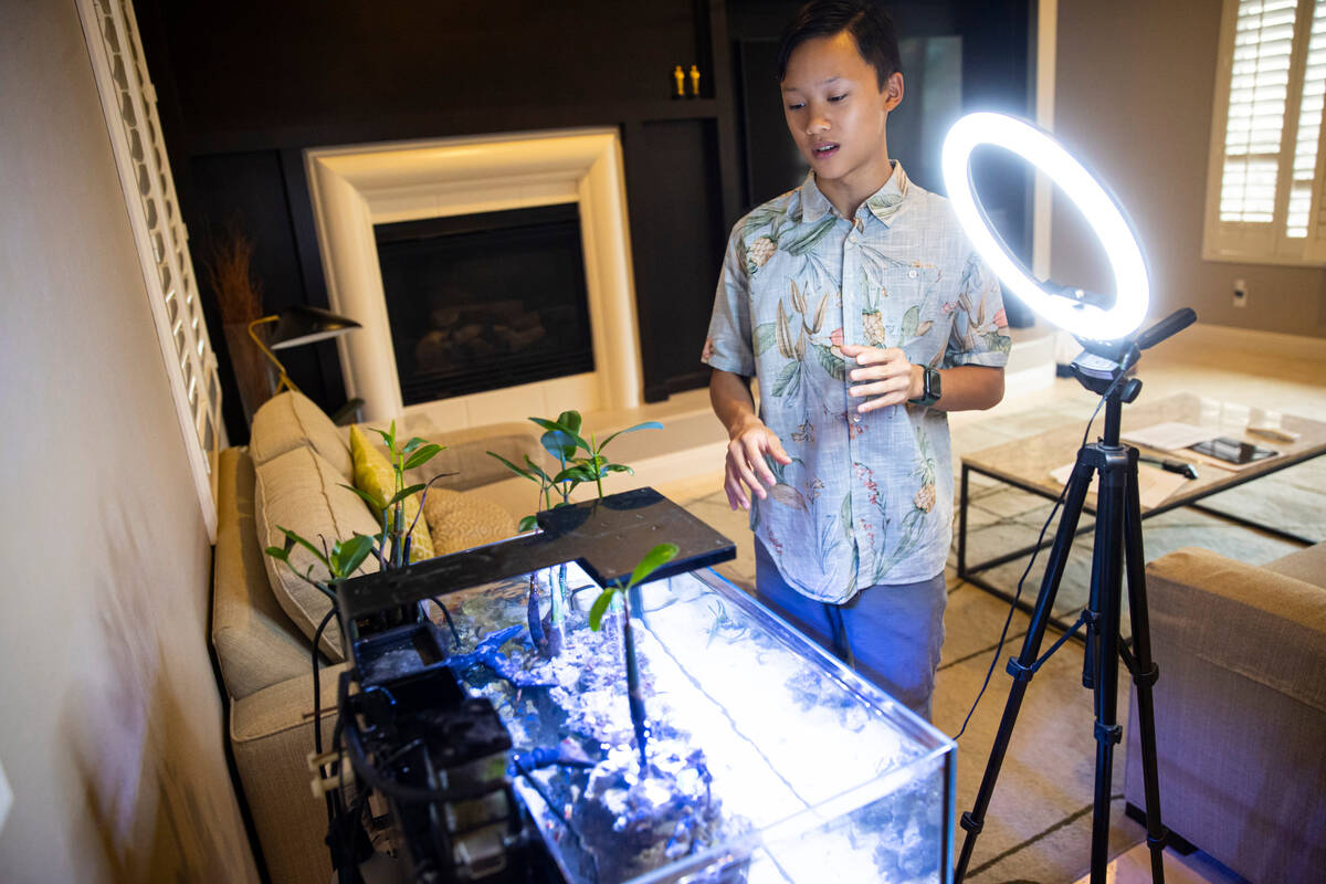 Luka Nguyen, 13, talks about his mangrove tree carbon sequestration project as seen at his home ...