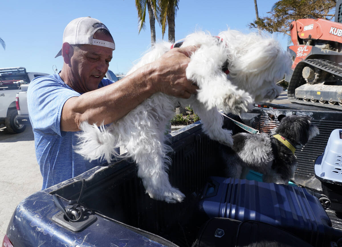 Steve Gibson loads a dog into the back of his pickup truck after it was rescued along with it's ...