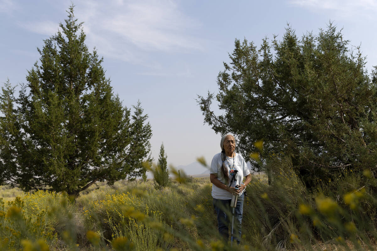 Delaine Spilsbury, an Ely Shoshone tribal elder, visits the swamp cedars, a sacred site to her ...