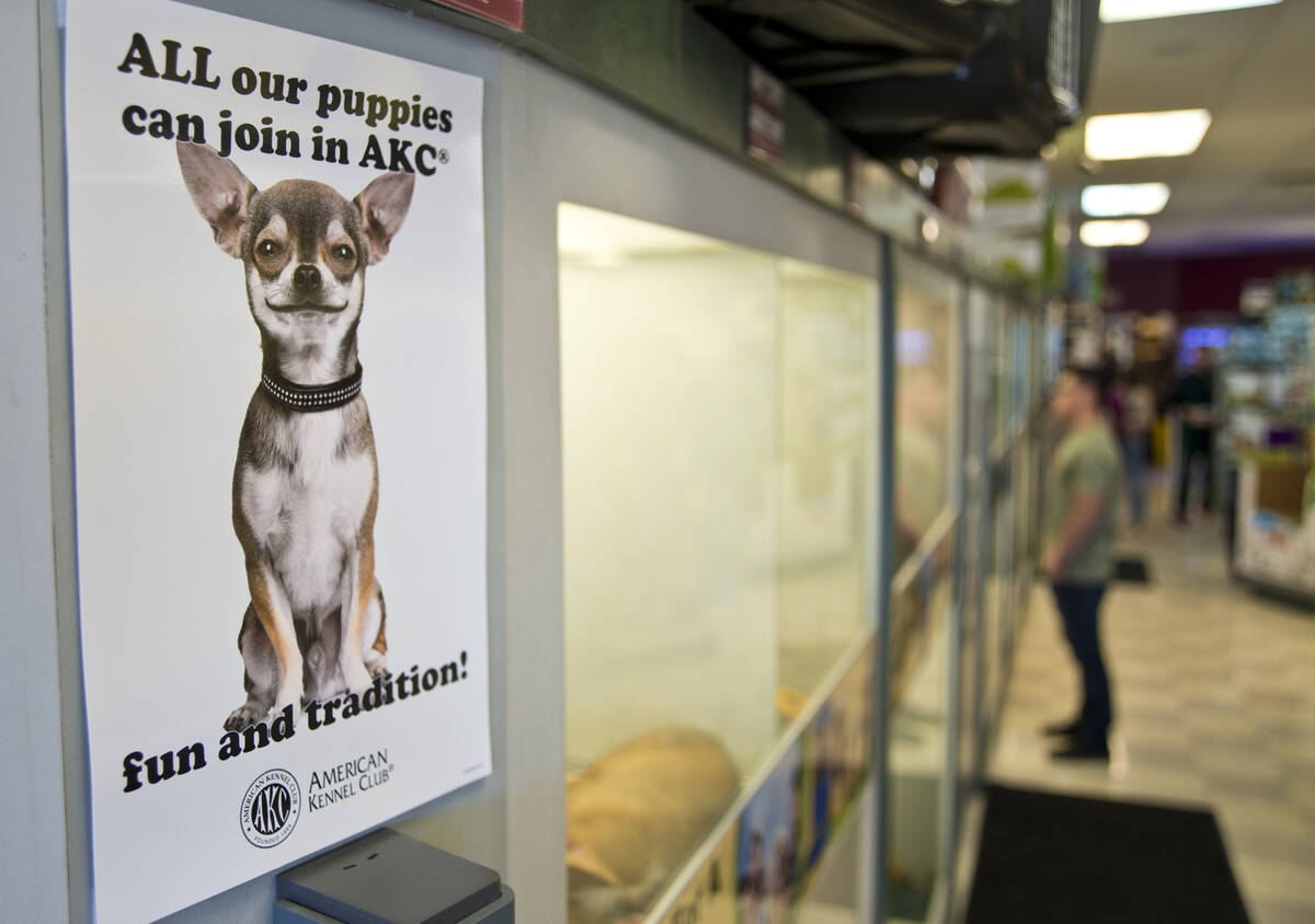 A sign advertises the pure-bred nature of the dogs for sale at Petland Las Vegas on Wednesday, ...