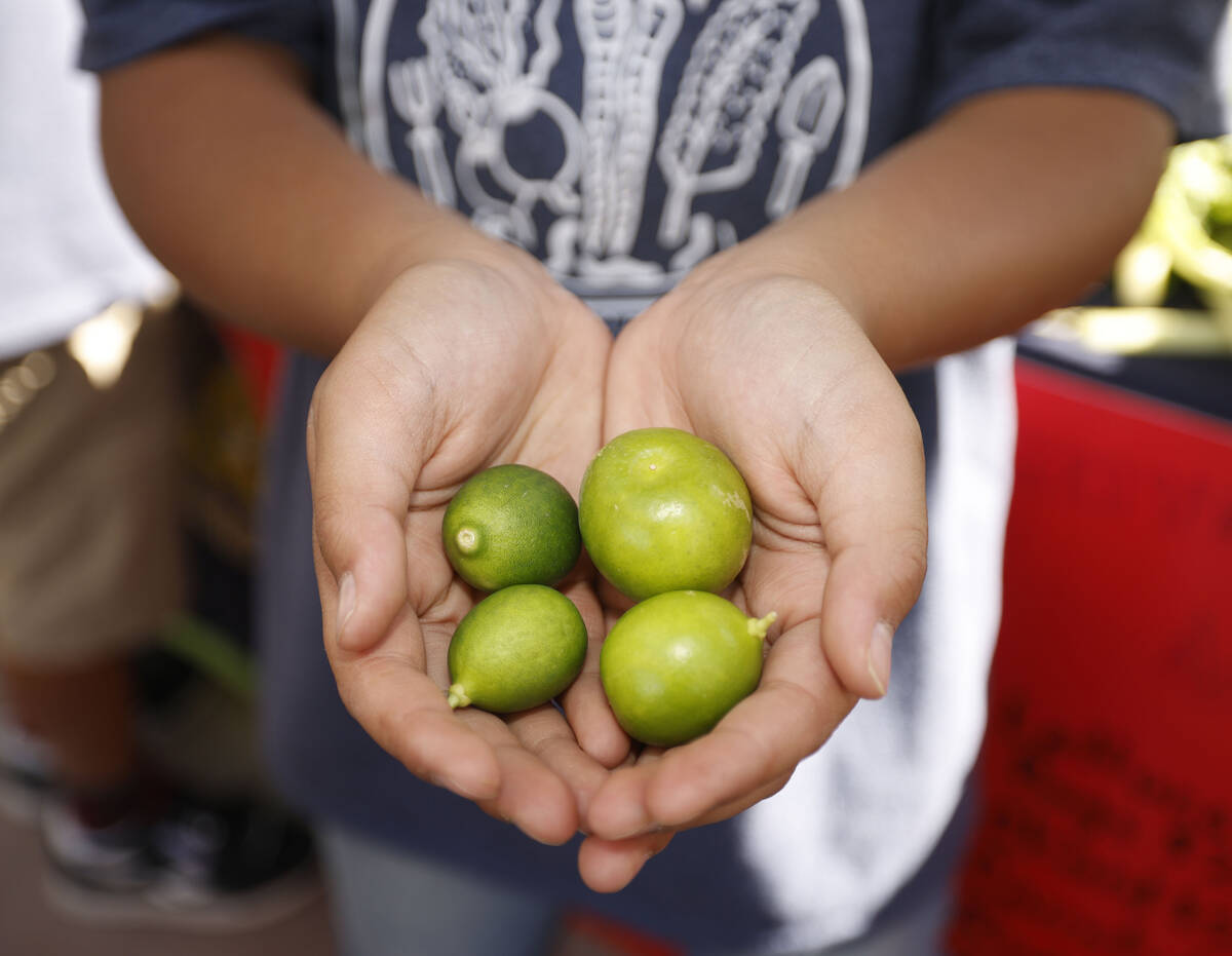 Goynes Elementary School student Jace Chong, 10, shows limes on Thursday, Oct. 20, 2022, during ...