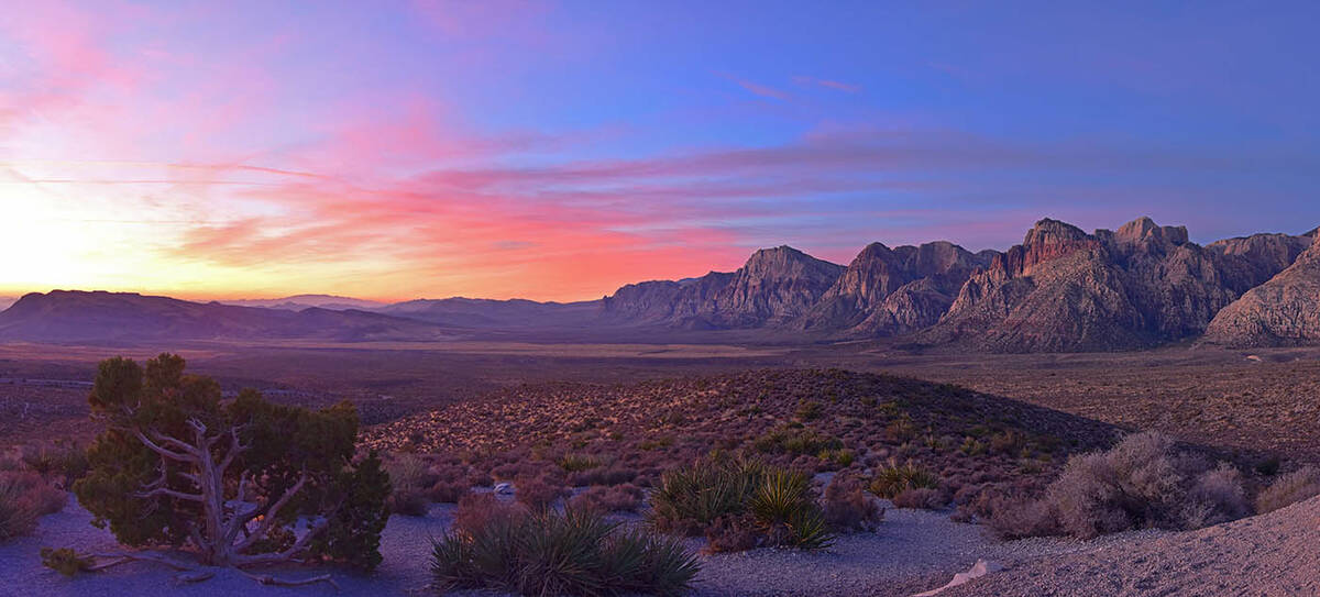 Laura Mertz’s photo of Red Rock Canyon National Conservation Area received the first-place aw ...