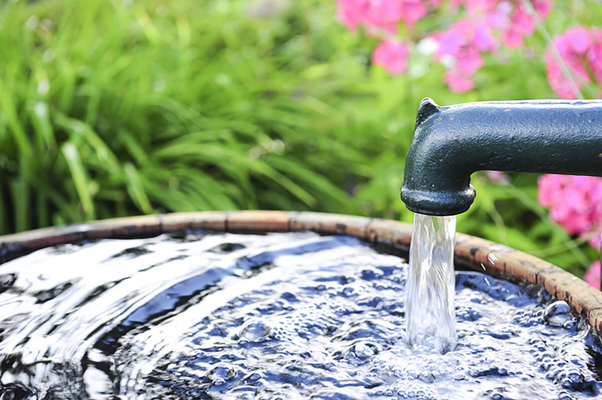 Water pump in the ga(Getty Images)rden