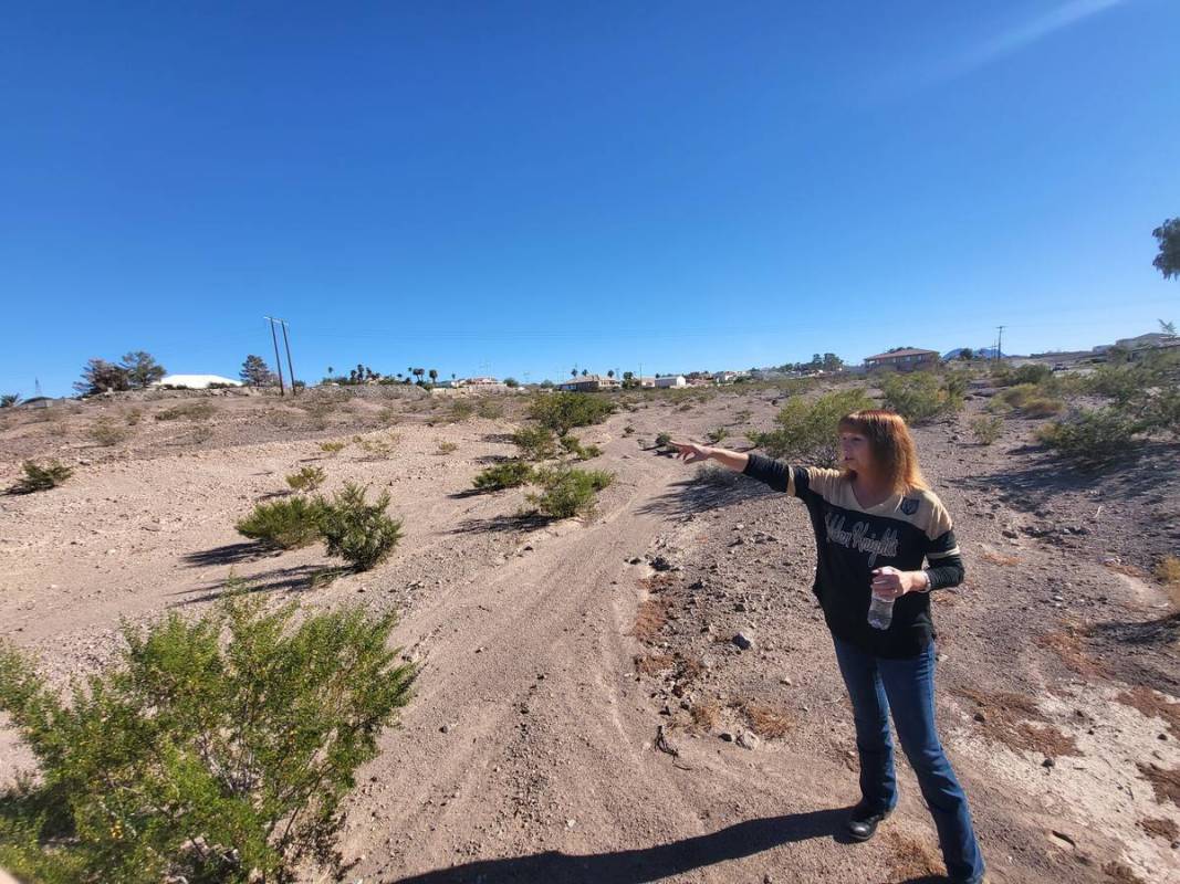 Sharri Warren points out landmarks in her neighborhood from the lot where the temple will be bu ...