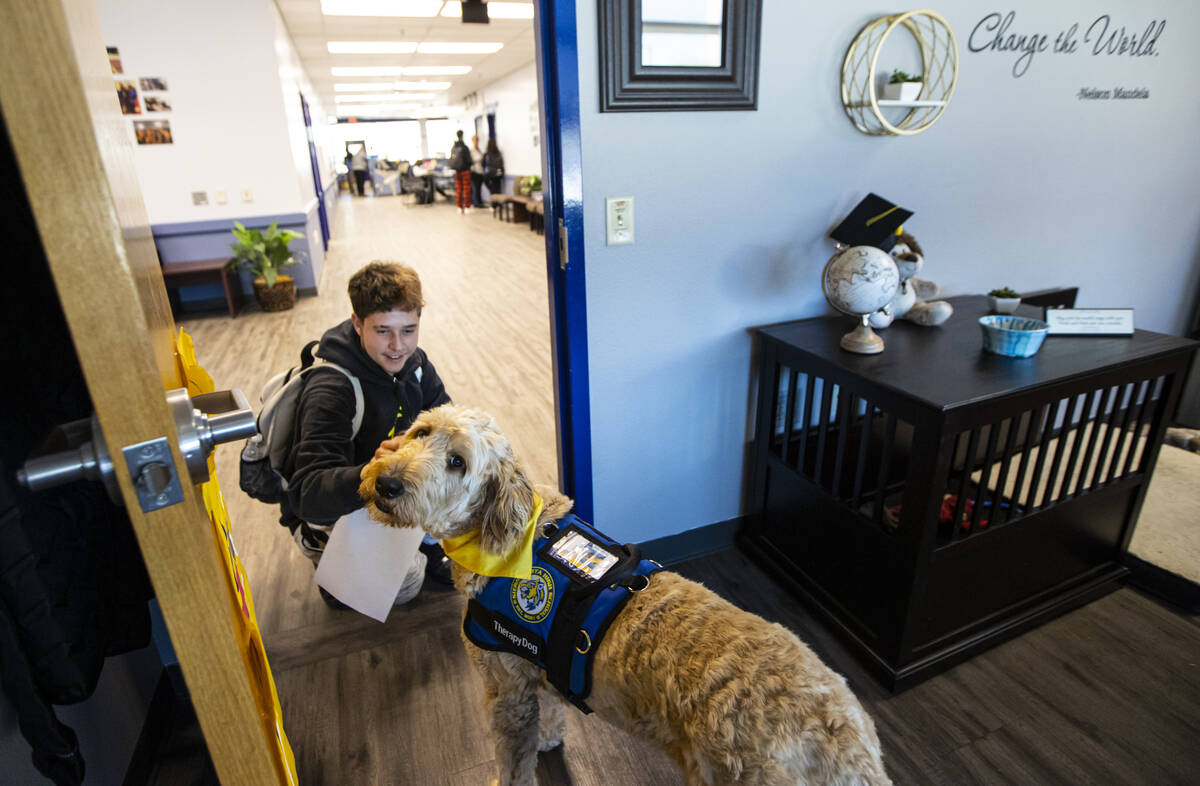 Sierra Vista High School junior Roman Dobos, 17, pets therapy dog Dood, a Goldendoodle, in the ...