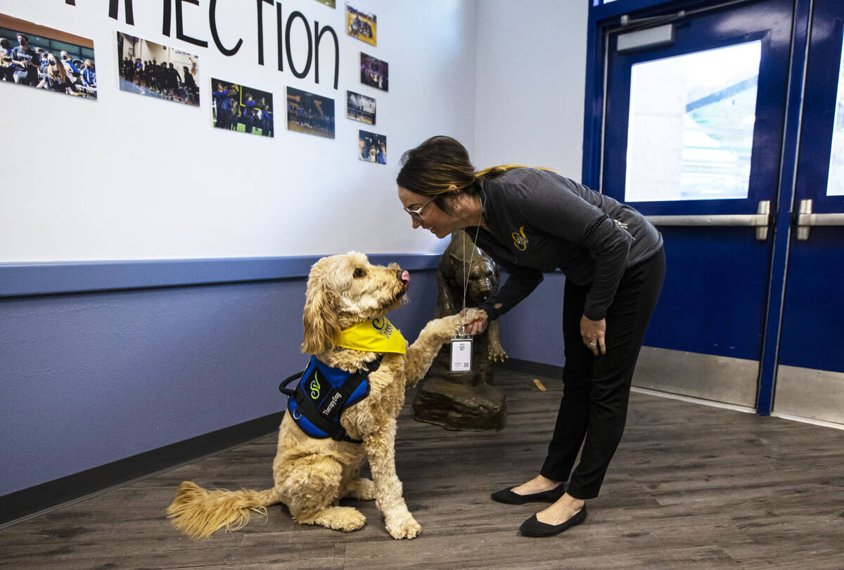 Sierra Vista High School Principal Jessica Lovell greets Dood, a Goldendoodle therapy dog who s ...