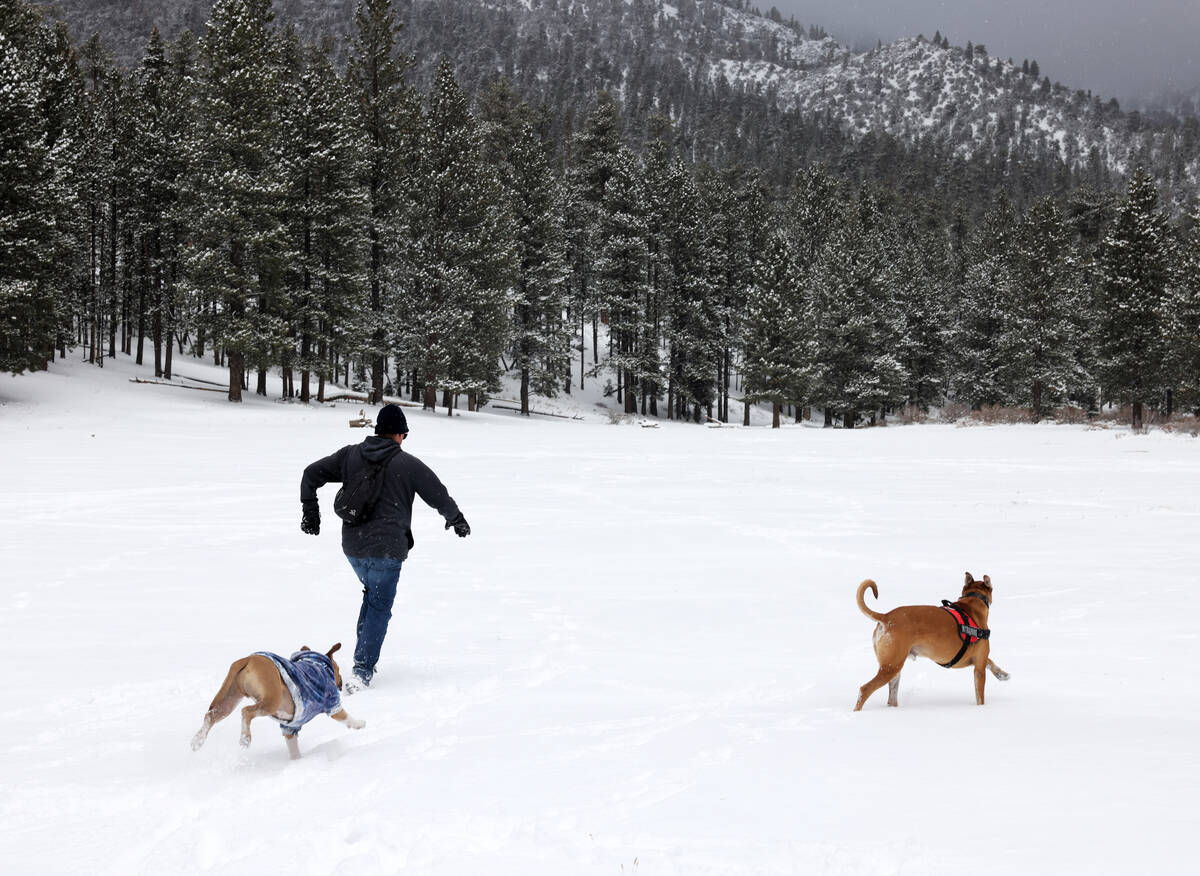 Sean Smith of Las Vegas plays with his dog, Hutch, right, and a friend’s dog, Rocky, in ...