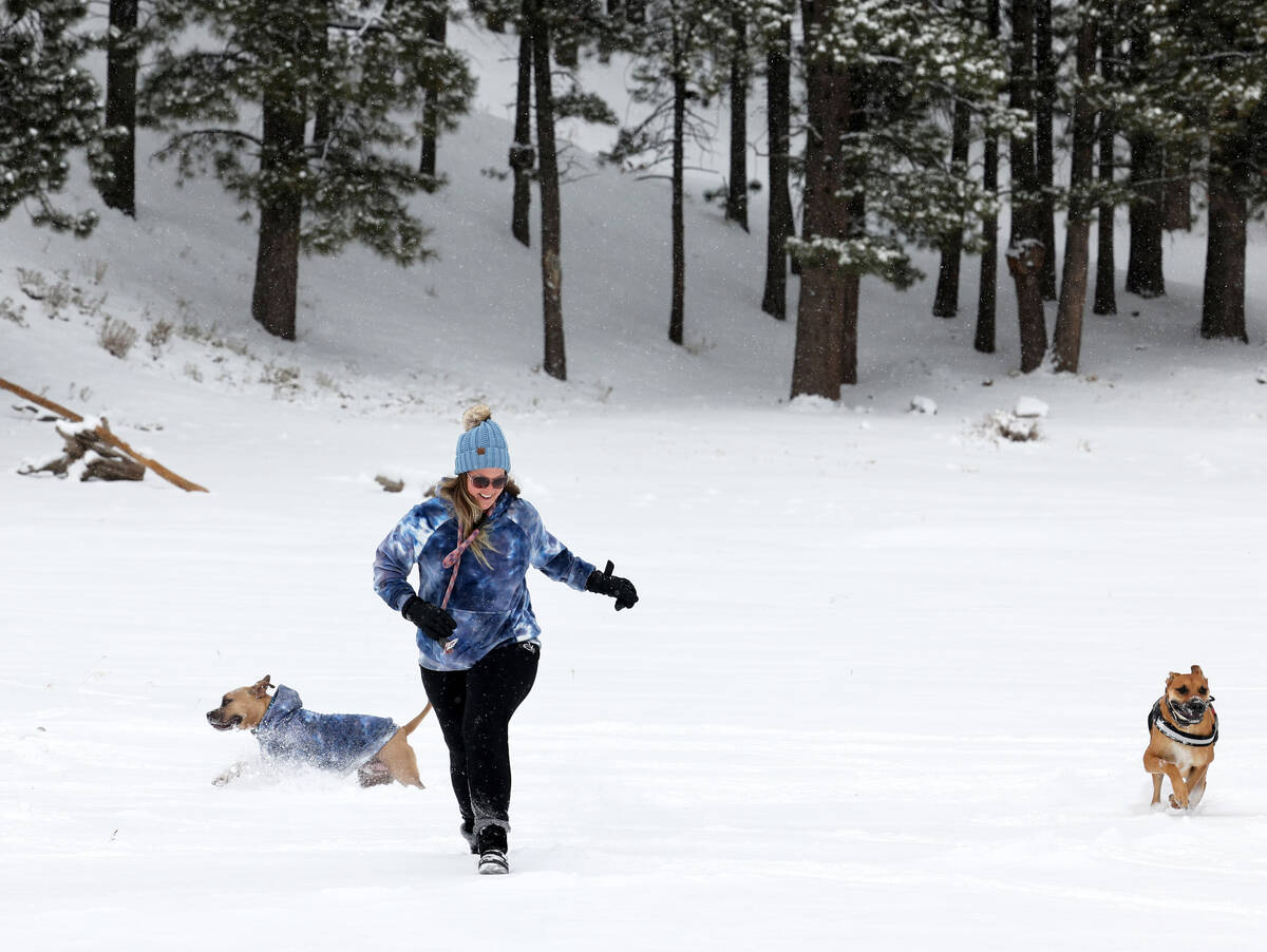 Edit Hansen of Las Vegas plays with her dog, Rocky, left, and a friend’s dog, Hutch, in fresh ...