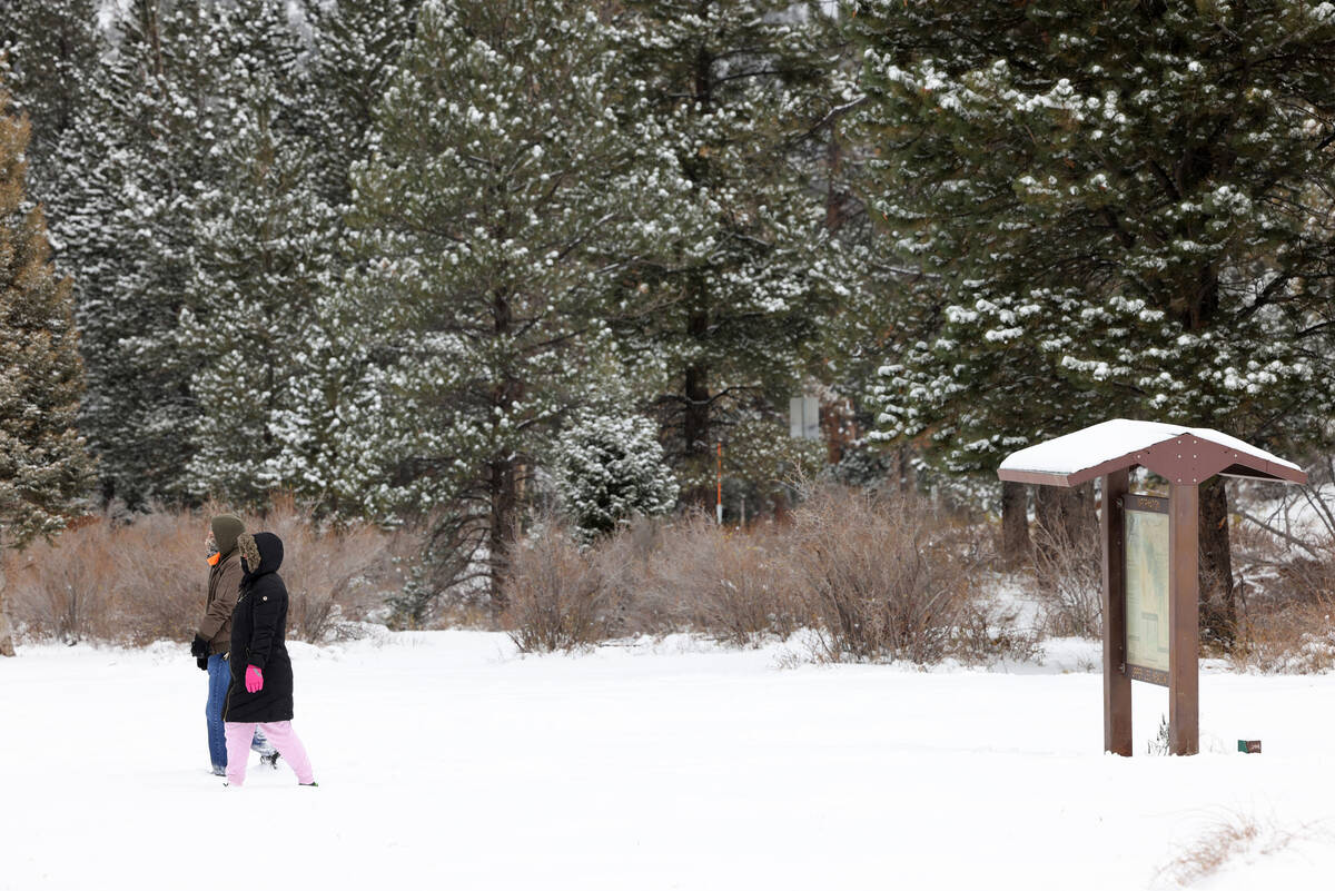 Visitors walk through Upper Lee Meadows in the Spring Mountains National Recreation Area on Nov ...