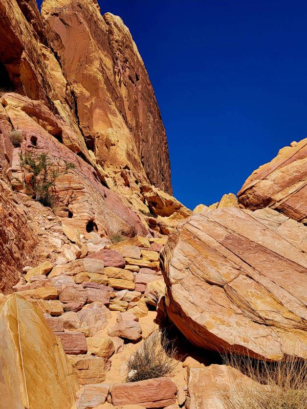 Rock steps lead up and down a steep section of Valley of Fire State Park’s White Domes L ...